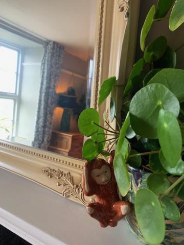 Dolgellau Townhouse 2 Minutes To Town & Mountains Villa ภายนอก รูปภาพ